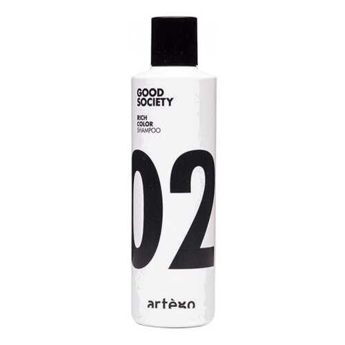 Шампунь Artego Rich Color Shampoo для Окрашенных Волос, 250 мл в Сибирское Здоровье